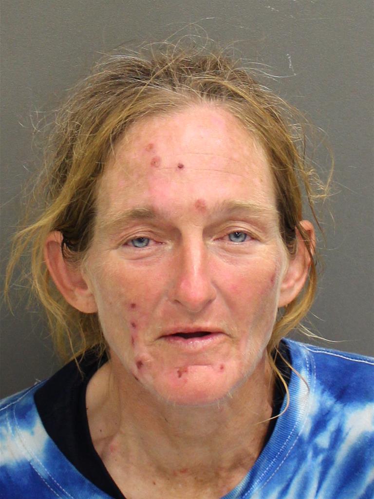  LAURA HUTCHESON Mugshot / County Arrests / Orange County Arrests