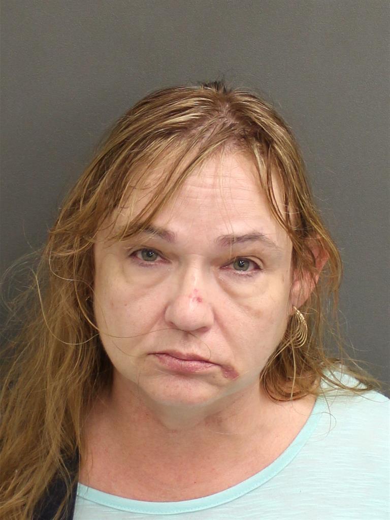  CYNTHIA L ANDERSON Mugshot / County Arrests / Orange County Arrests