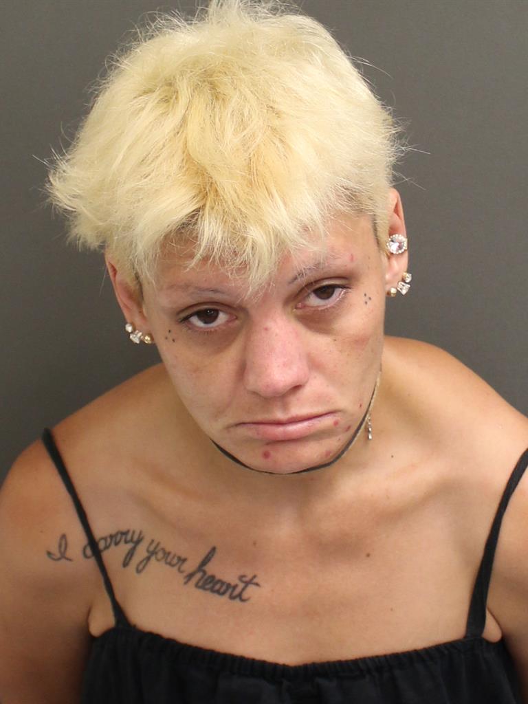  TRACY LOUISE SHIELDS Mugshot / County Arrests / Orange County Arrests