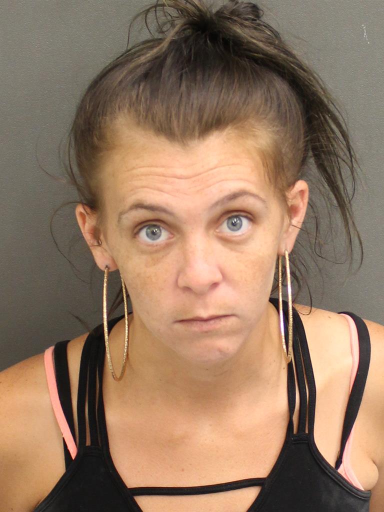  AMY MARIE DINKINS Mugshot / County Arrests / Orange County Arrests