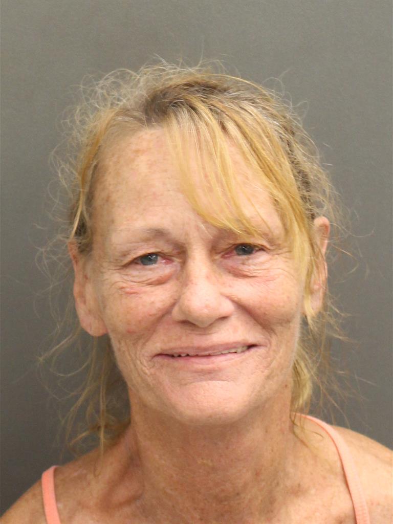  SUSAN LYNN BROCK Mugshot / County Arrests / Orange County Arrests