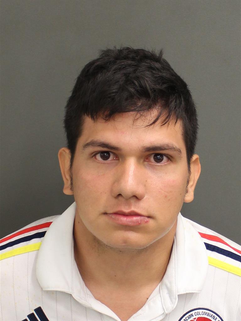  BRAYAN ALARCON Mugshot / County Arrests / Orange County Arrests