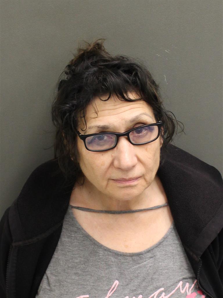  LOUISE C NAPOLITANO Mugshot / County Arrests / Orange County Arrests