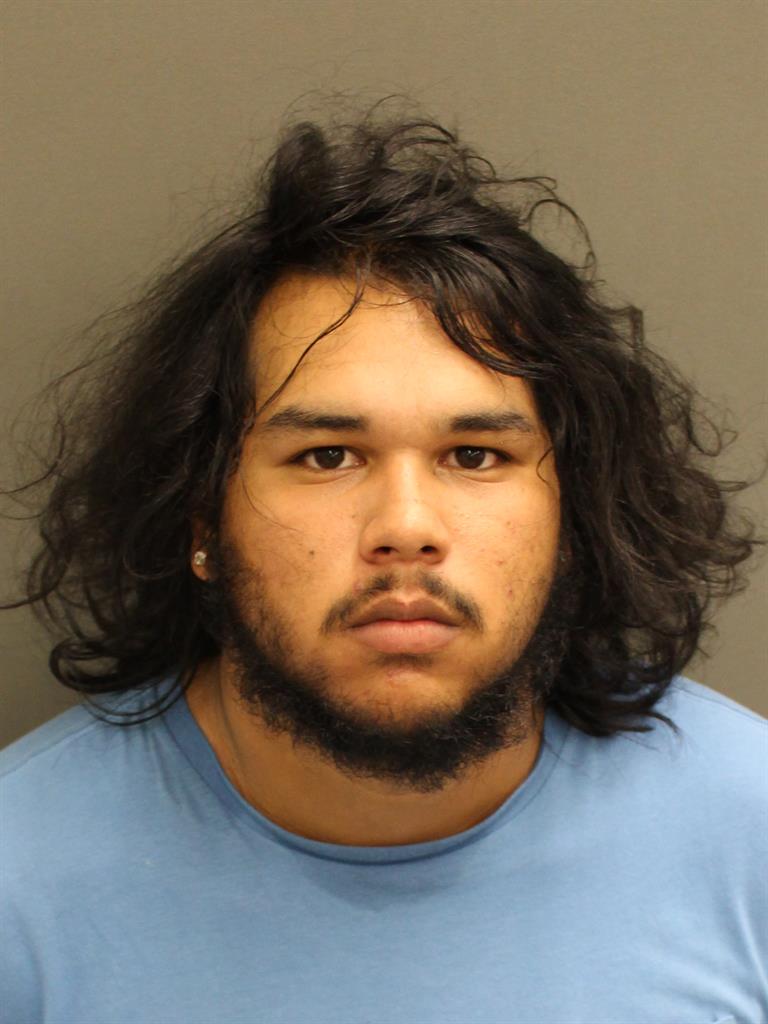  JOSELUIS ALBERTO VARGAS Mugshot / County Arrests / Orange County Arrests