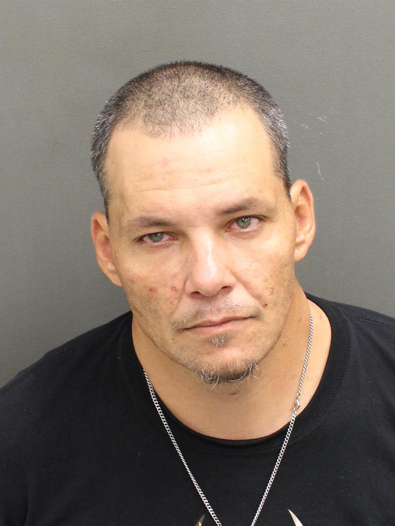  CHRISTOPHER JAMES REYNOLDS Mugshot / County Arrests / Orange County Arrests