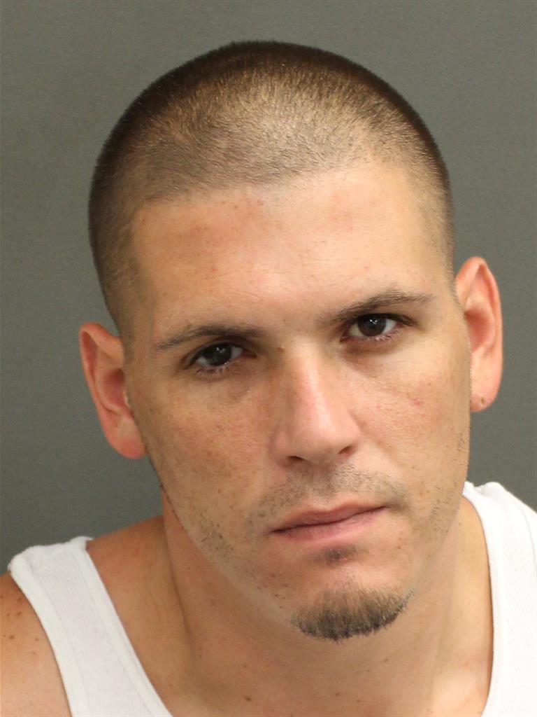  VINCENZO G SICILIANO Mugshot / County Arrests / Orange County Arrests