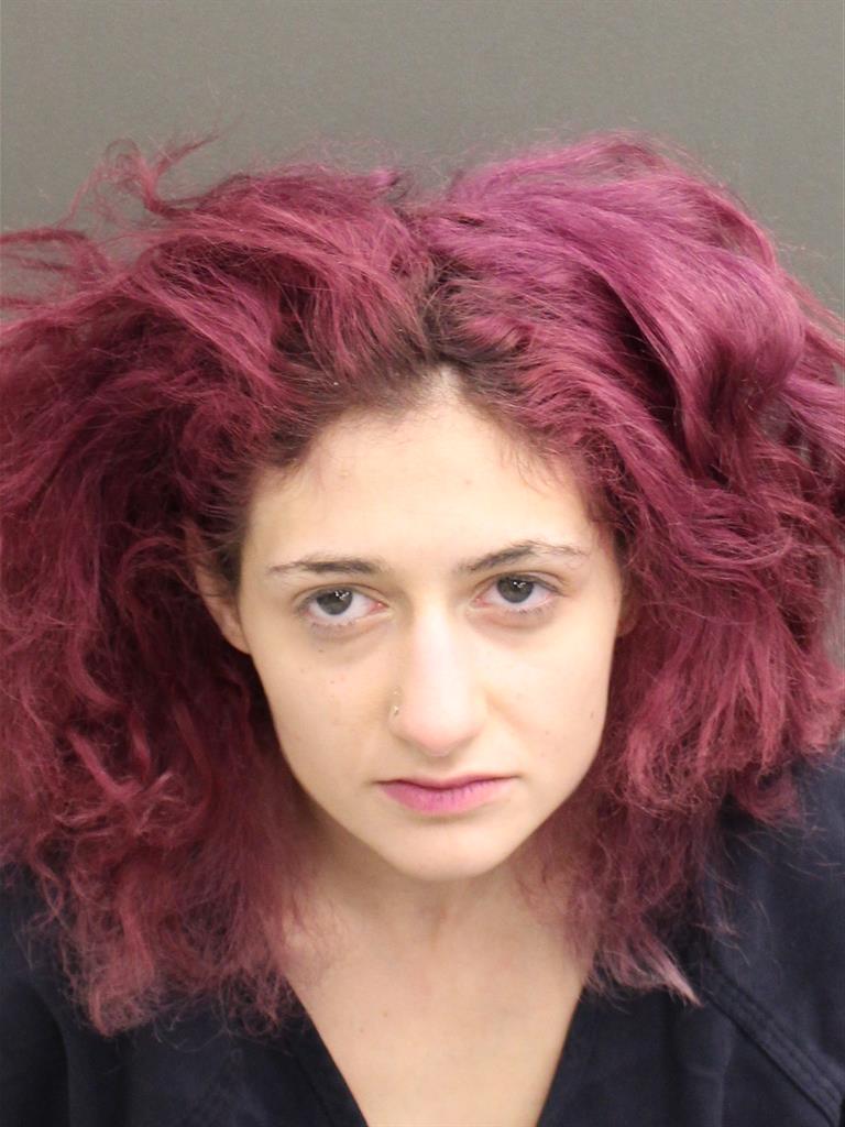  SONYA S SOKOLIN Mugshot / County Arrests / Orange County Arrests