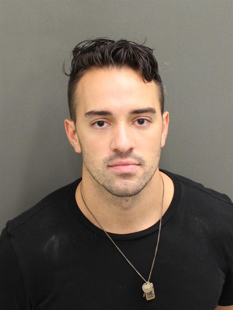  JUSTIN ALAN PALMER Mugshot / County Arrests / Orange County Arrests