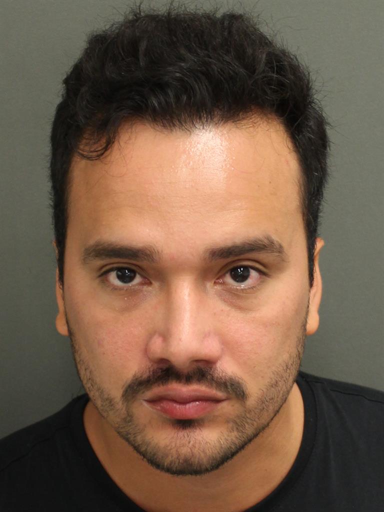  HAVILIO JOSE GALLEGO Mugshot / County Arrests / Orange County Arrests
