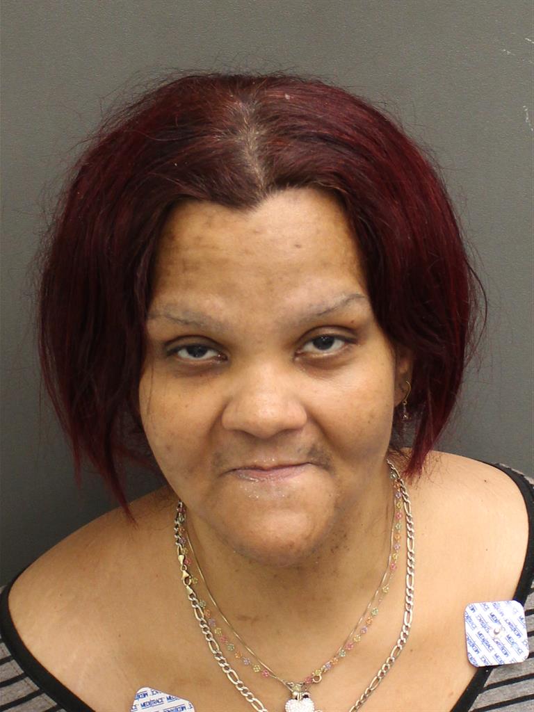  CARMEN GRISSELLE RUIZCOLON Mugshot / County Arrests / Orange County Arrests