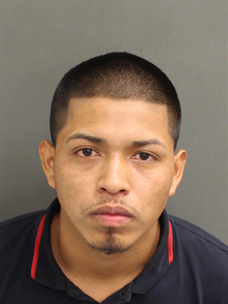  HECTOR DAVID DOMINGO Photo Image