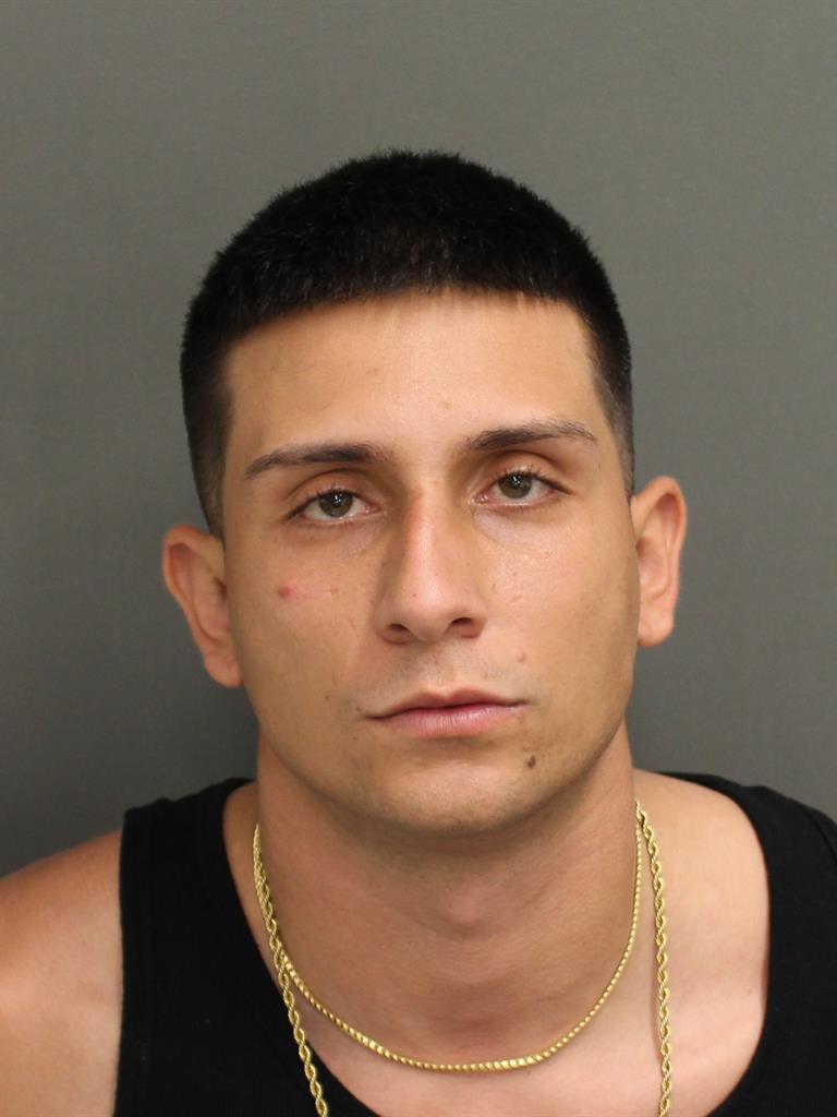  VITOR DEALMEDIA SILVA Mugshot / County Arrests / Orange County Arrests