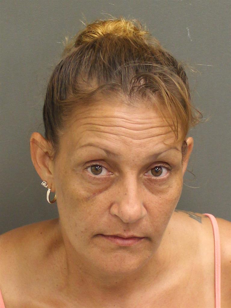  LISA ANNE HOLMES Mugshot / County Arrests / Orange County Arrests