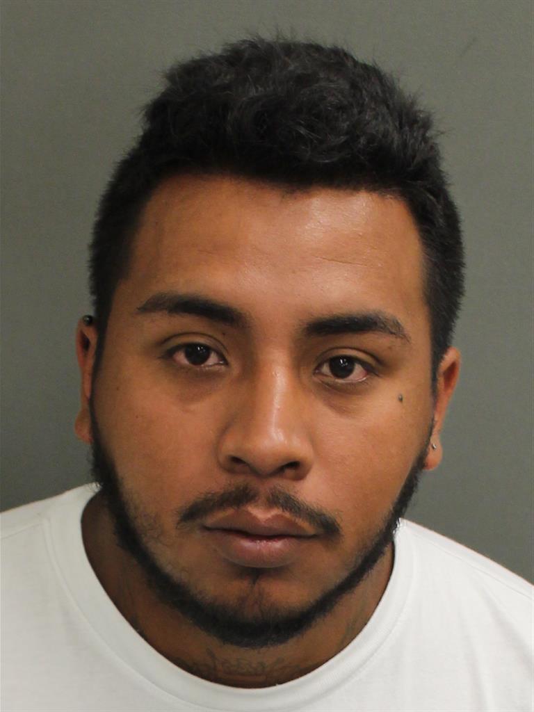  ALVARO MARIN Photo Image