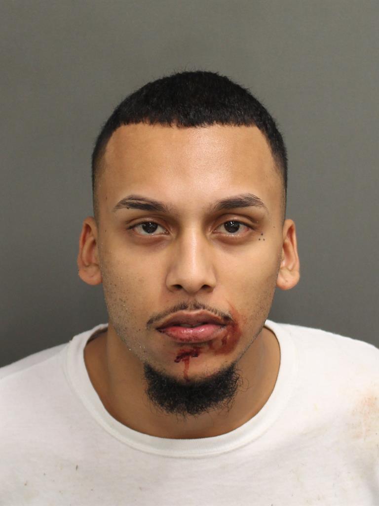  HECTOR LUIS JR LEFEBRE Mugshot / County Arrests / Orange County Arrests