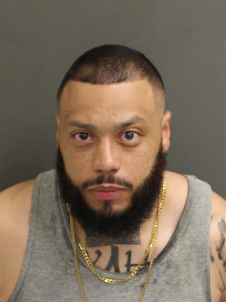  LUIS GABRIEL ANDINO Mugshot / County Arrests / Orange County Arrests