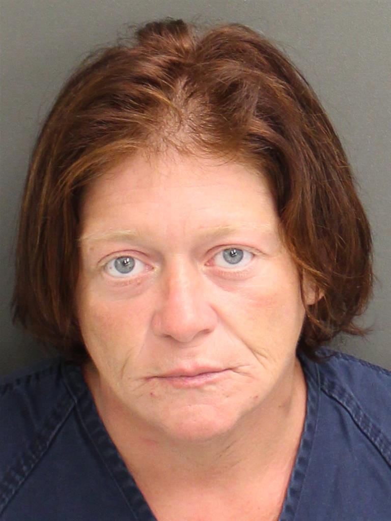  AMANDA LEE STREET Mugshot / County Arrests / Orange County Arrests