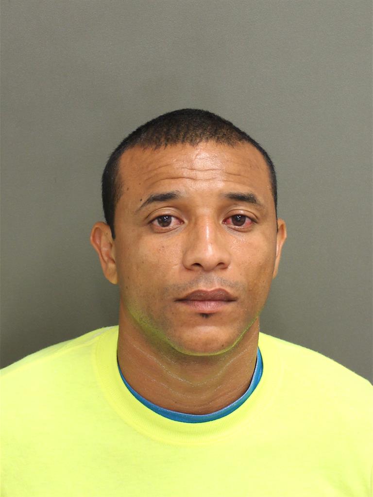  KENNYS JOSE ALVAREZROSALES Mugshot / County Arrests / Orange County Arrests