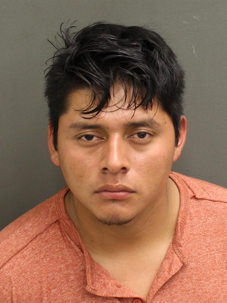  ELMER ALEXANDER GONZALEZLUIS Mugshot / County Arrests / Orange County Arrests