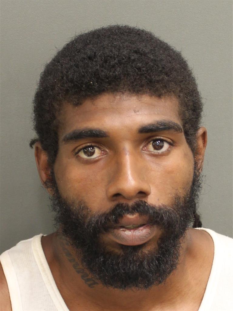  PRINCE E WILLIAMS Mugshot / County Arrests / Orange County Arrests