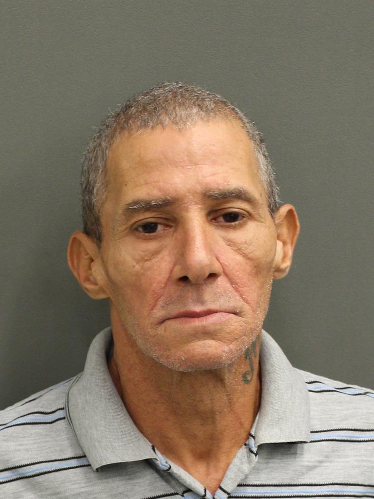  ISMAEL DELVALLE Mugshot / County Arrests / Orange County Arrests