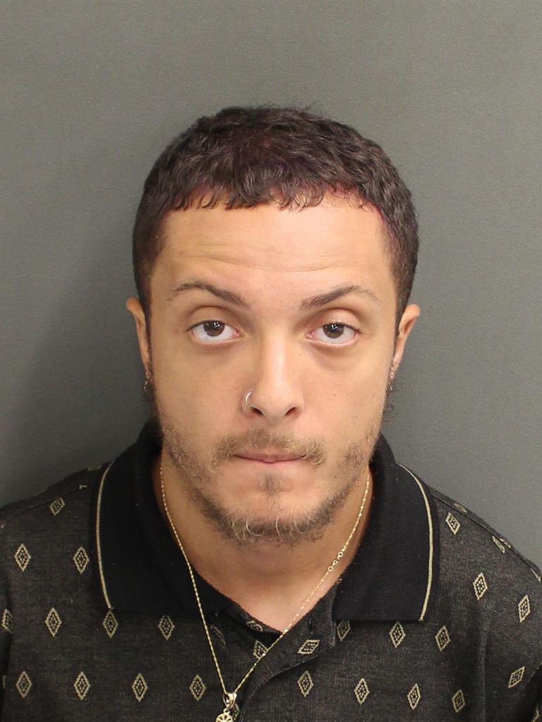 CHRISTOPHER A ESTRADA Mugshot CHRISTOPHER A ESTRADA Mugshot / County Arrests / Orange County Arrests