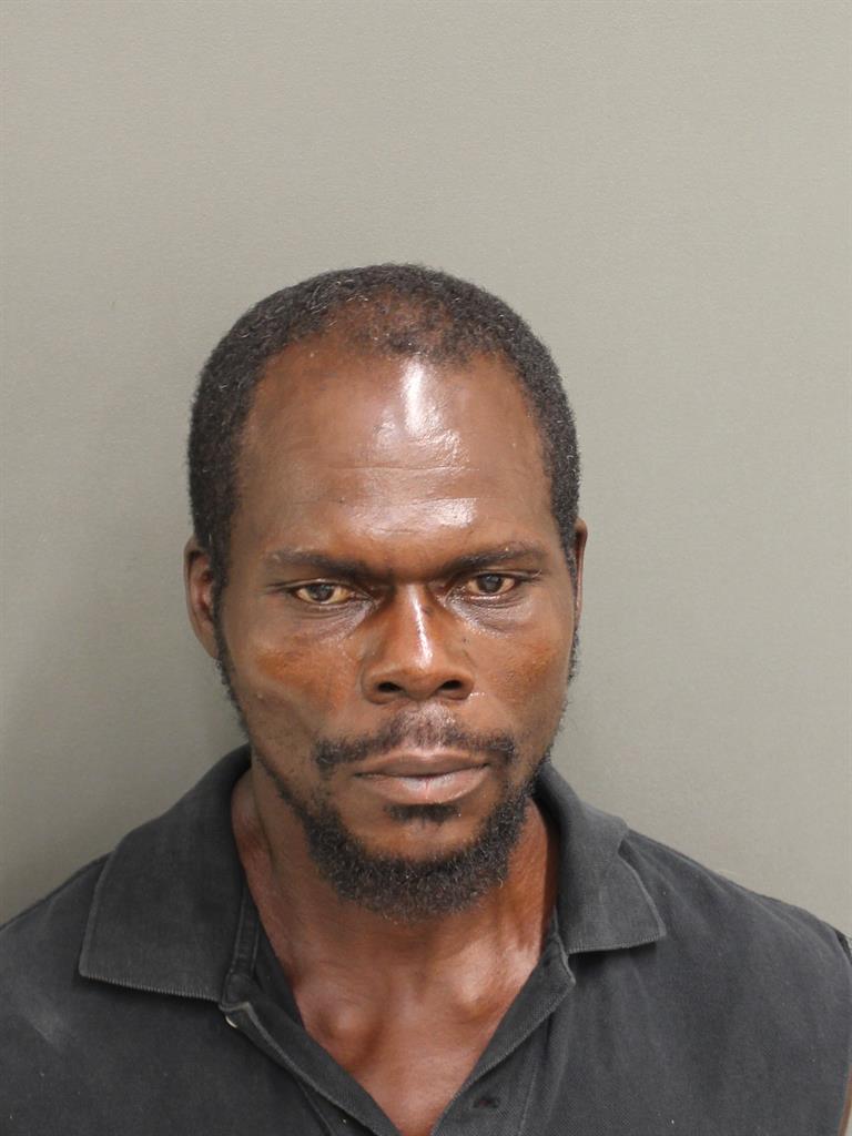  THEODORE ANTHONY WALLACE Mugshot / County Arrests / Orange County Arrests