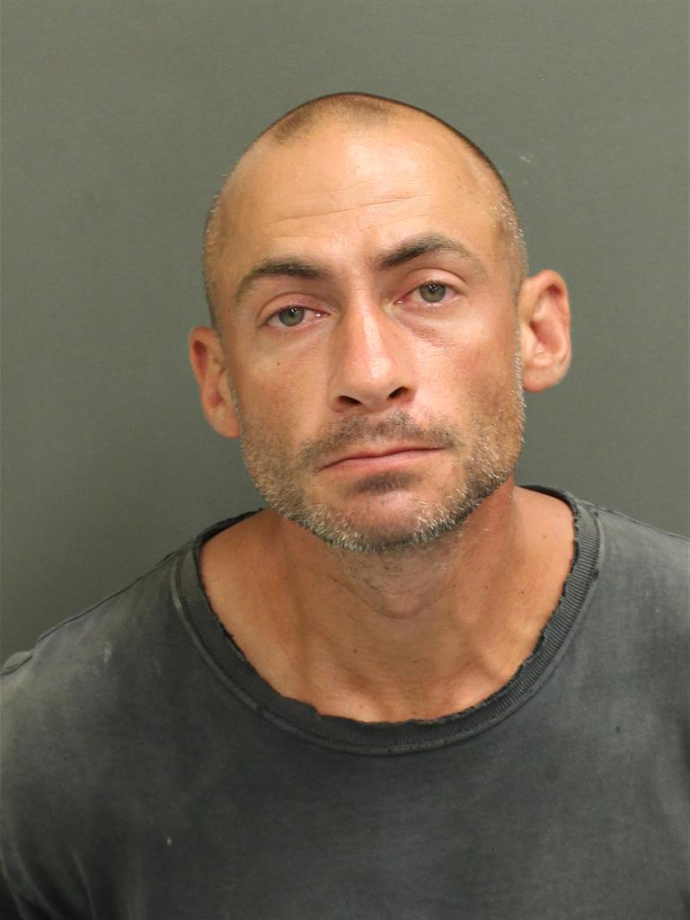  BRIAN JOSEPH HAMADY Mugshot / County Arrests / Orange County Arrests