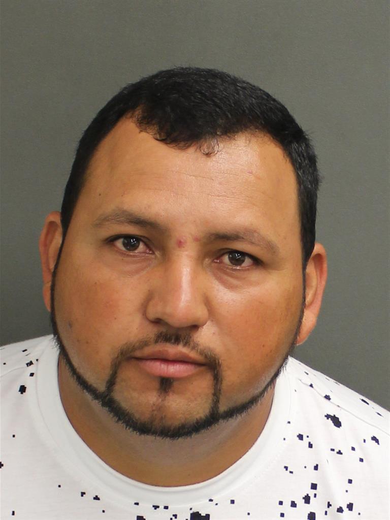  DELMER NOE VILLALOBOSCABRERA Mugshot / County Arrests / Orange County Arrests