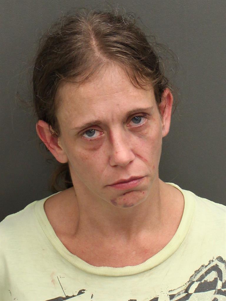  MARY ALICIA VIGOR Mugshot / County Arrests / Orange County Arrests
