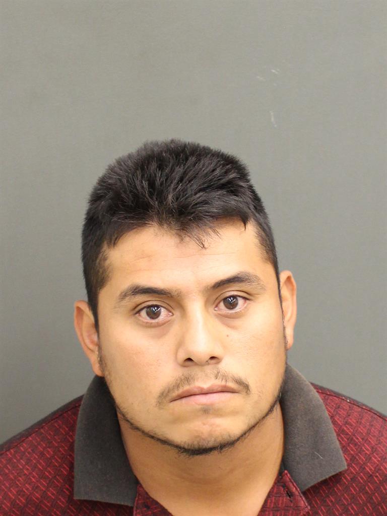  TOMAS FLORES Mugshot / County Arrests / Orange County Arrests