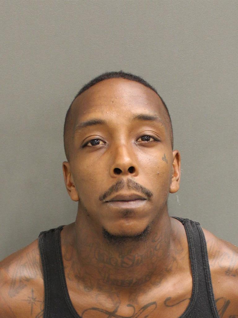  JOSEPH MICHAEL FLEMING Mugshot / County Arrests / Orange County Arrests