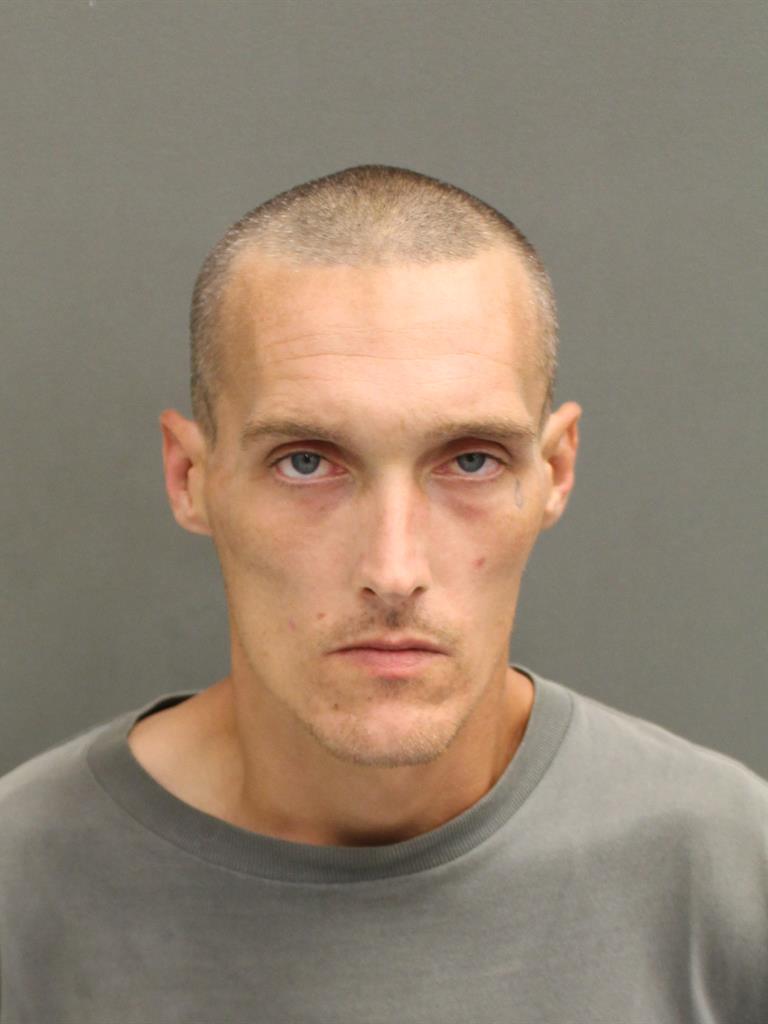  NICHOLAS GERARD LAVALLEE Mugshot / County Arrests / Orange County Arrests