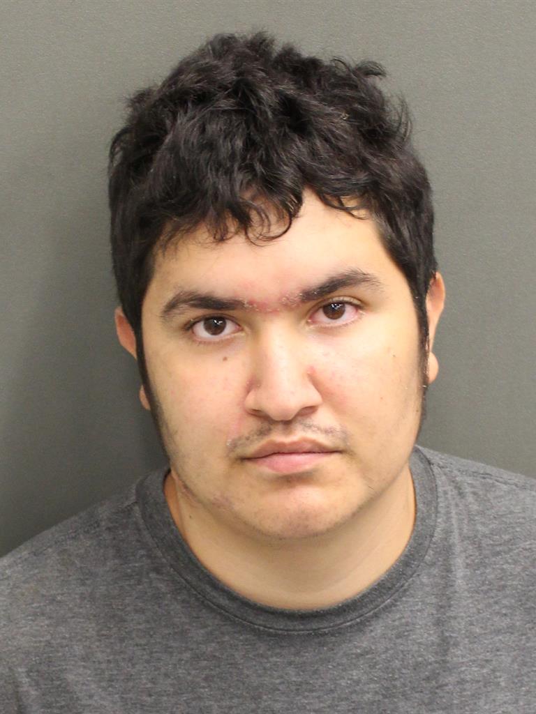  RICARDO CHANG Mugshot / County Arrests / Orange County Arrests