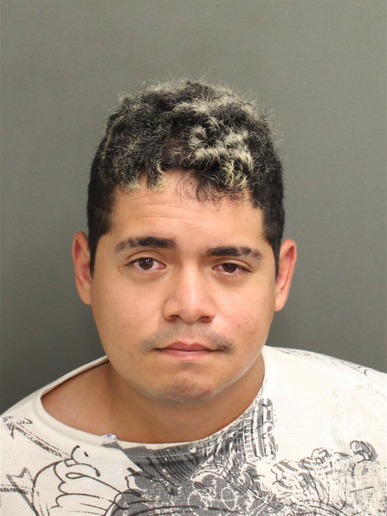  KEVIN JOAO GOMEZLORENTZEN Mugshot / County Arrests / Orange County Arrests