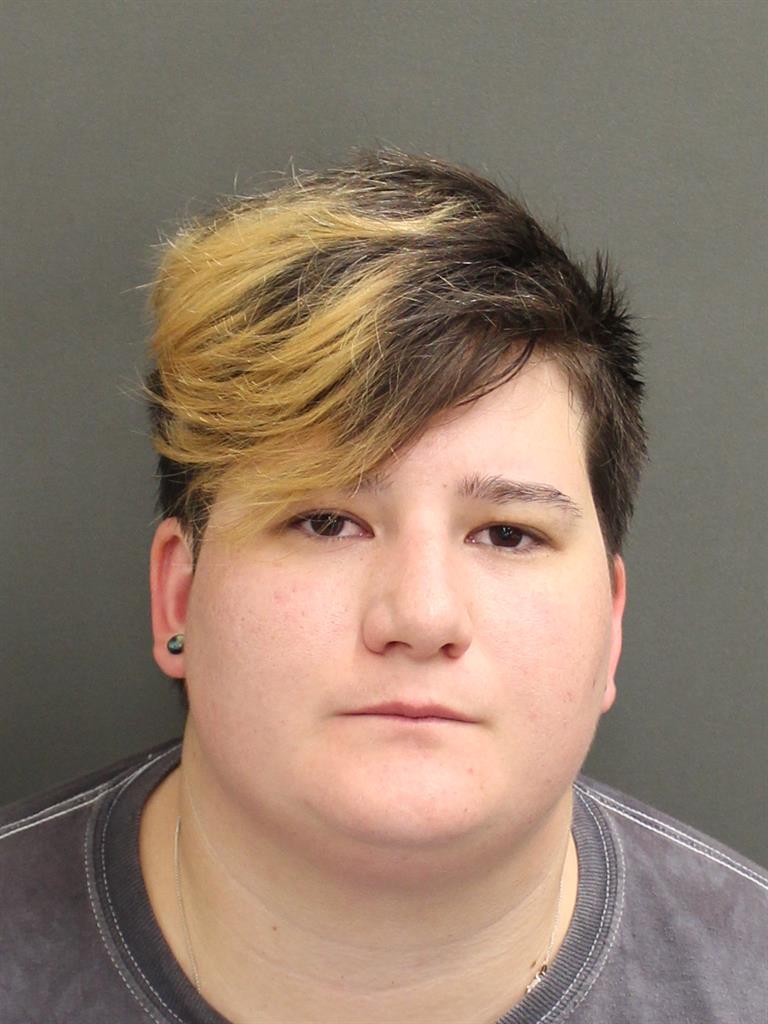  LAUREN A HEITZ Mugshot / County Arrests / Orange County Arrests