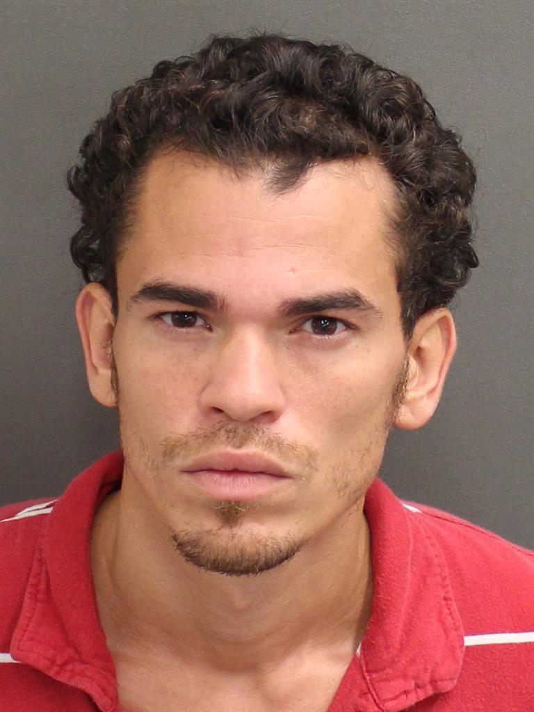  PEDRO JOSE SAADEFLORES Mugshot / County Arrests / Orange County Arrests