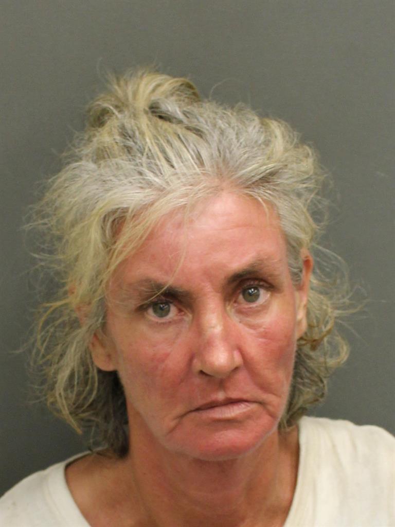  BARBARA ANN JOHNSON Mugshot / County Arrests / Orange County Arrests