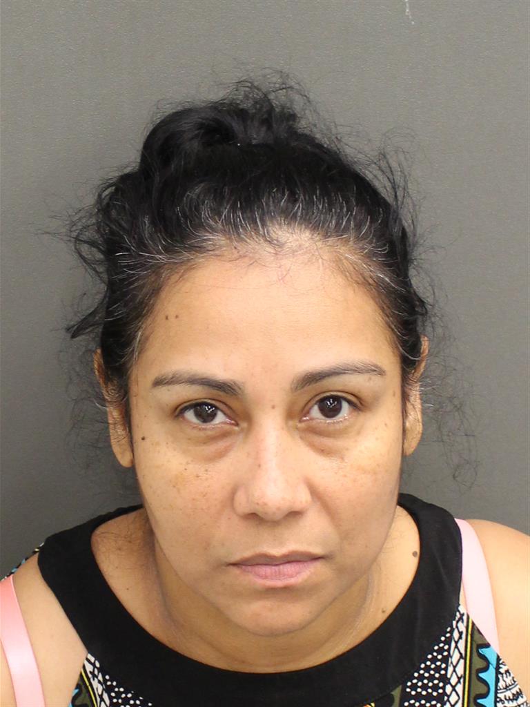  LLAJAYRA TEJADA RUIZ Mugshot / County Arrests / Orange County Arrests