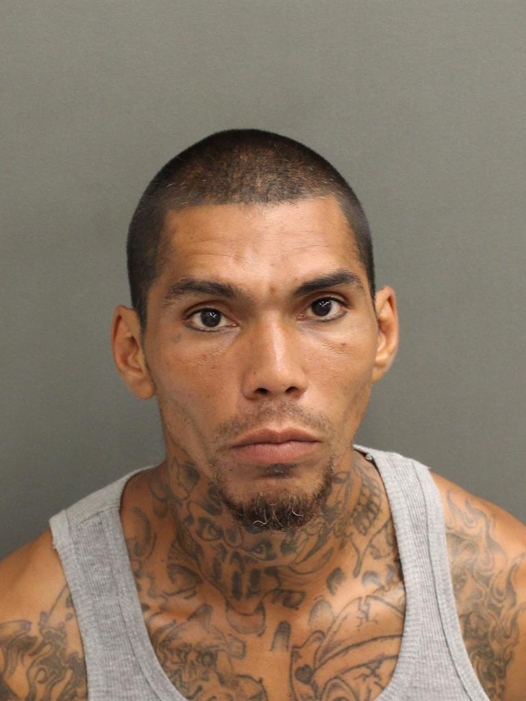  MICHAEL ACEVEDORIVERA Mugshot / County Arrests / Orange County Arrests