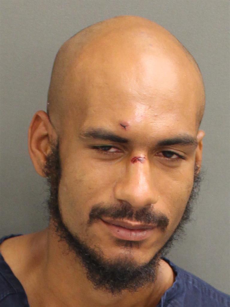 JOSHUA FENNELL Mugshot JOSHUA FENNELL Mugshot / County Arrests / Orange County Arrests