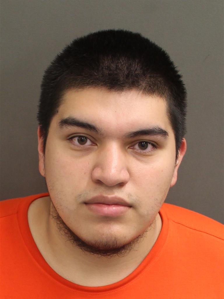  LUIS DOMINGUEZ Mugshot / County Arrests / Orange County Arrests