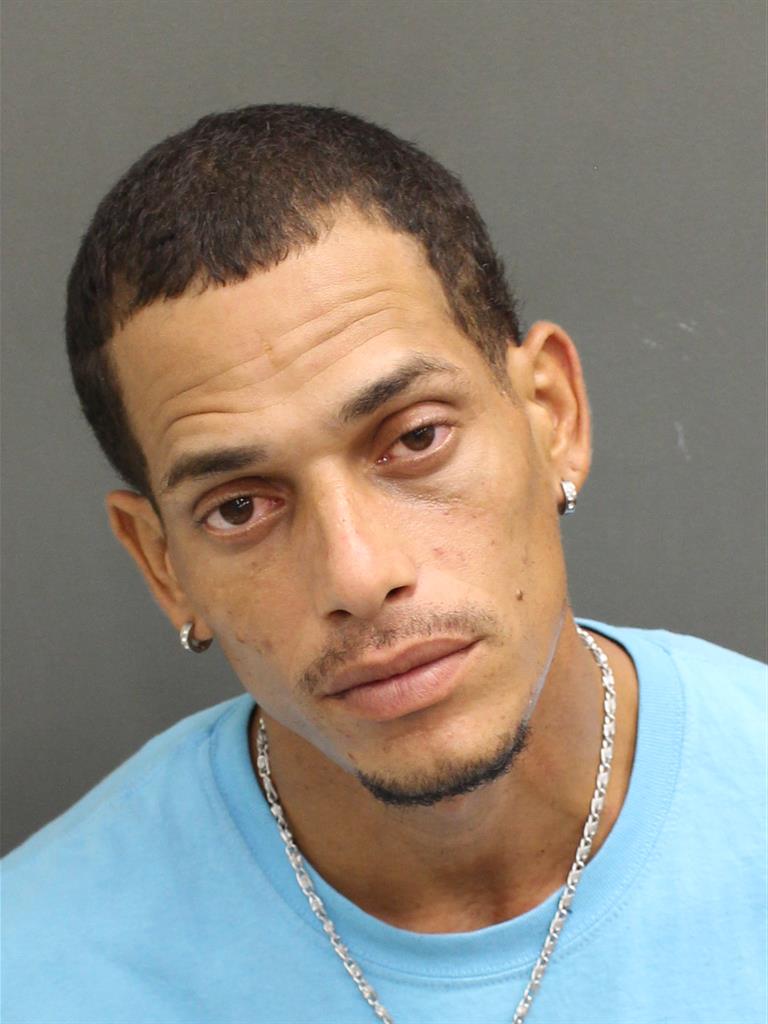  CARLOS EMANUEL LEBRON REYES Mugshot / County Arrests / Orange County Arrests