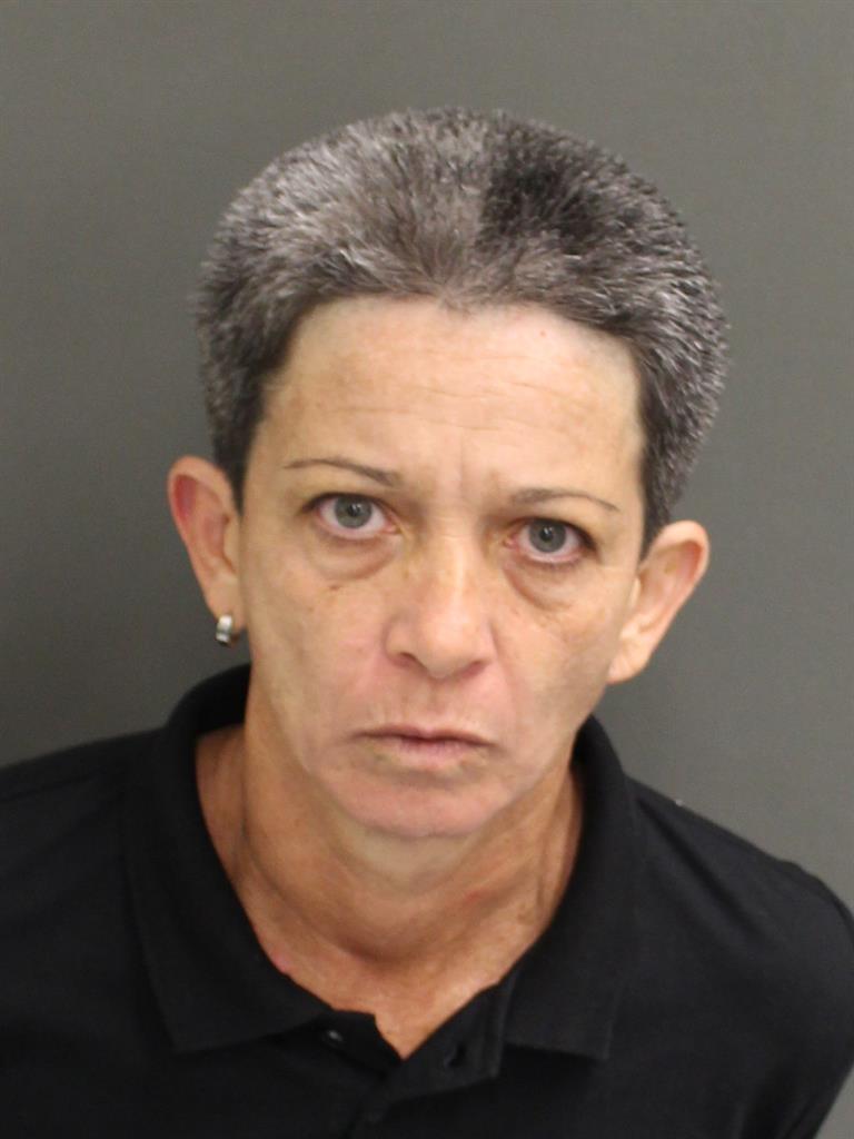  HILDA AIDE NEGRONSANTIAGO Mugshot / County Arrests / Orange County Arrests