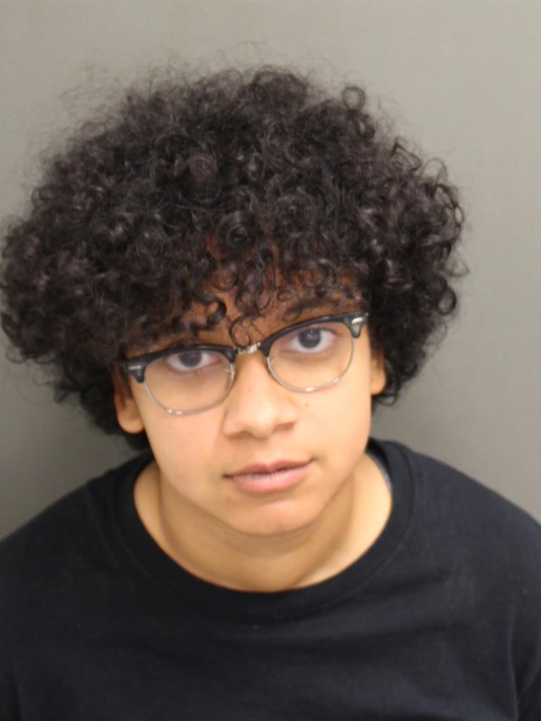  ALONDRA ESTEFANYS LORAFAJARDO Photo Image