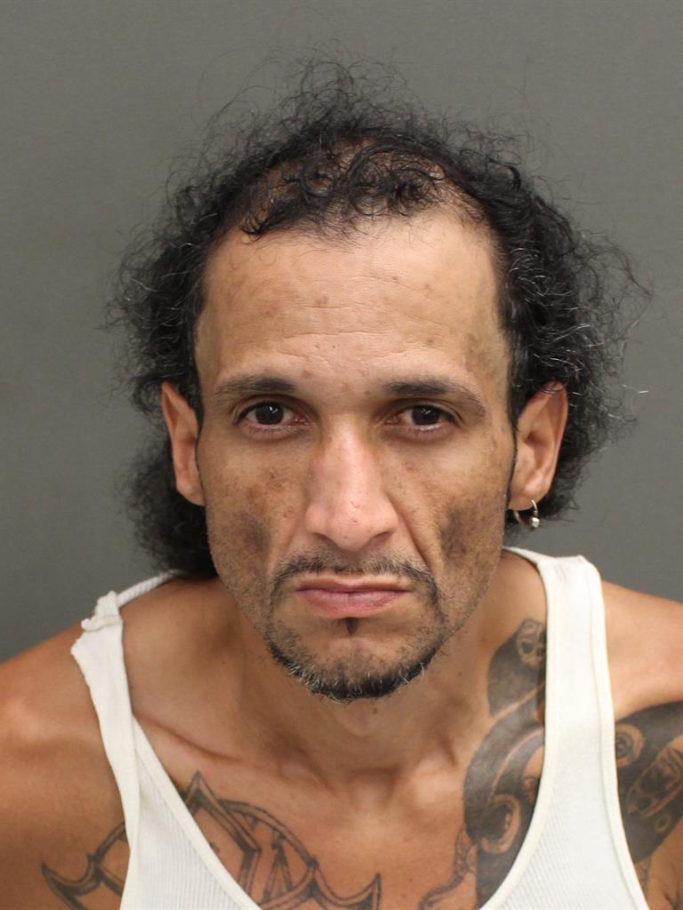  JOHANNES GONZALEZ MURPHY Mugshot / County Arrests / Orange County Arrests