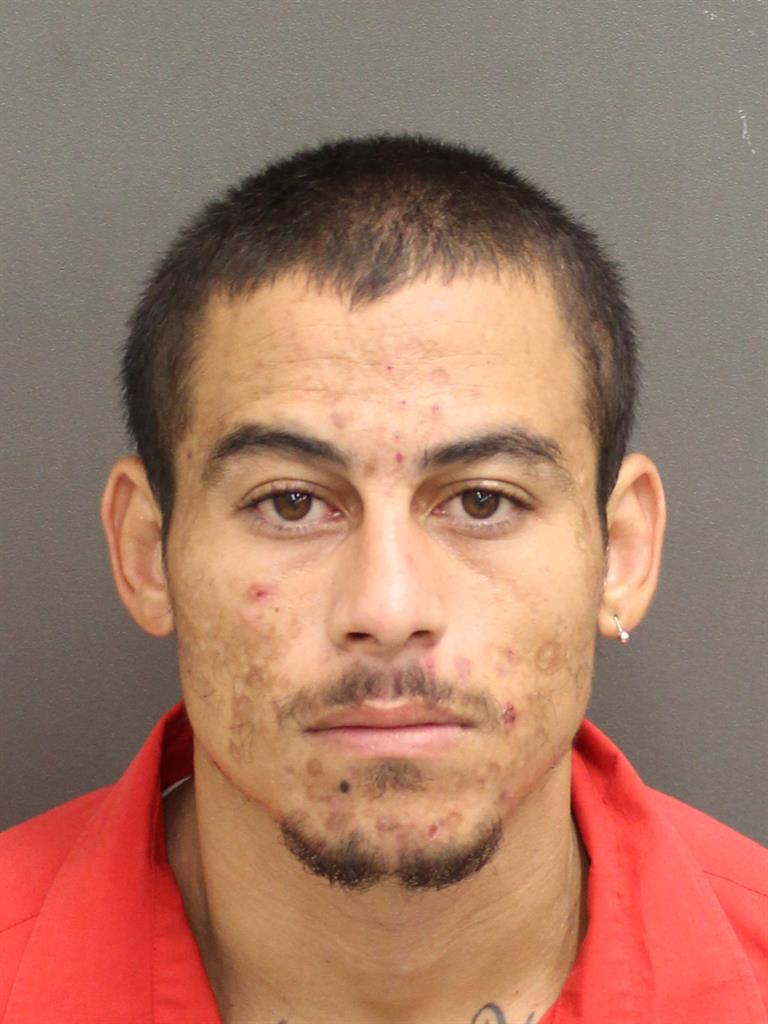 MICHAEL DOMINGO HERNANDEZ Mugshot / County Arrests / Orange County Arrests