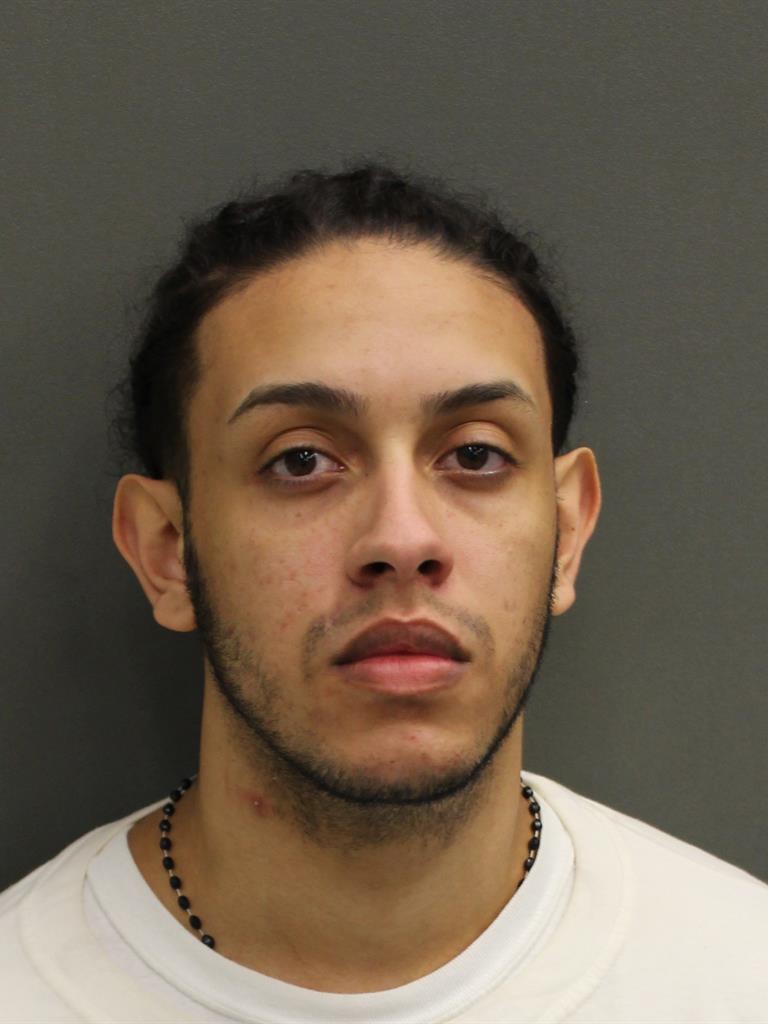  LUIS ENRIQUE DEJESUS Mugshot / County Arrests / Orange County Arrests