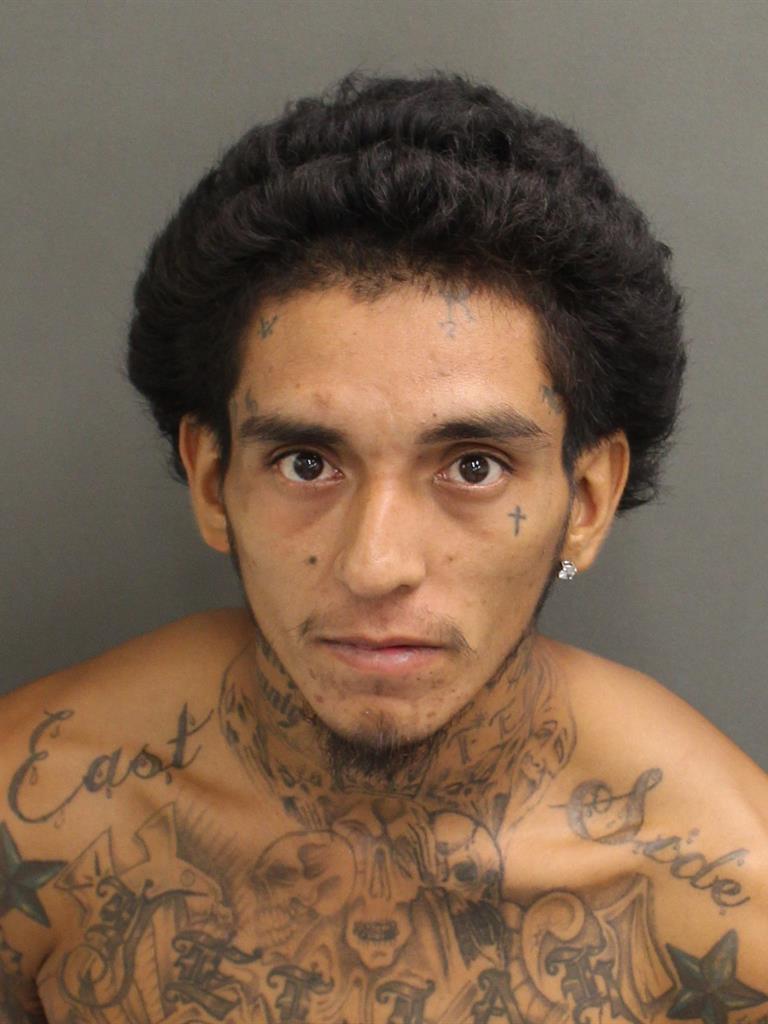  RIGO BERTO LOPEZ Photo Image