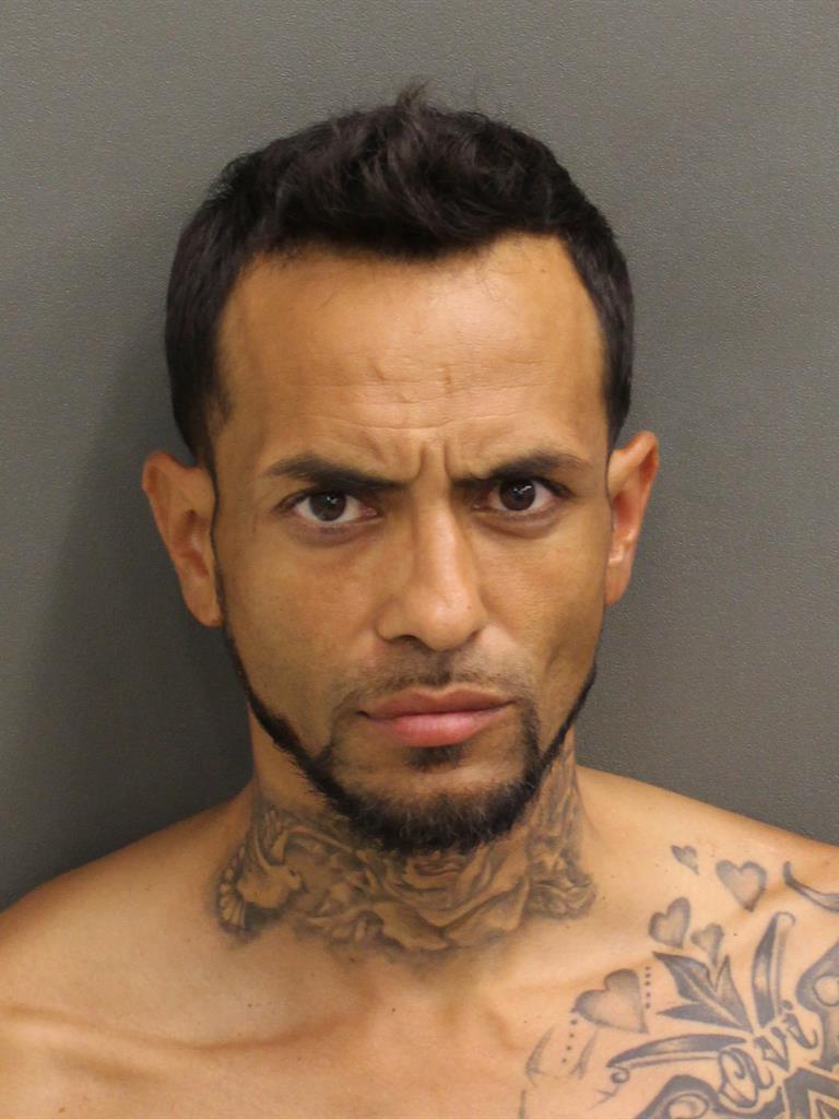  CARLOS ALBERTO MOLINA Mugshot / County Arrests / Orange County Arrests